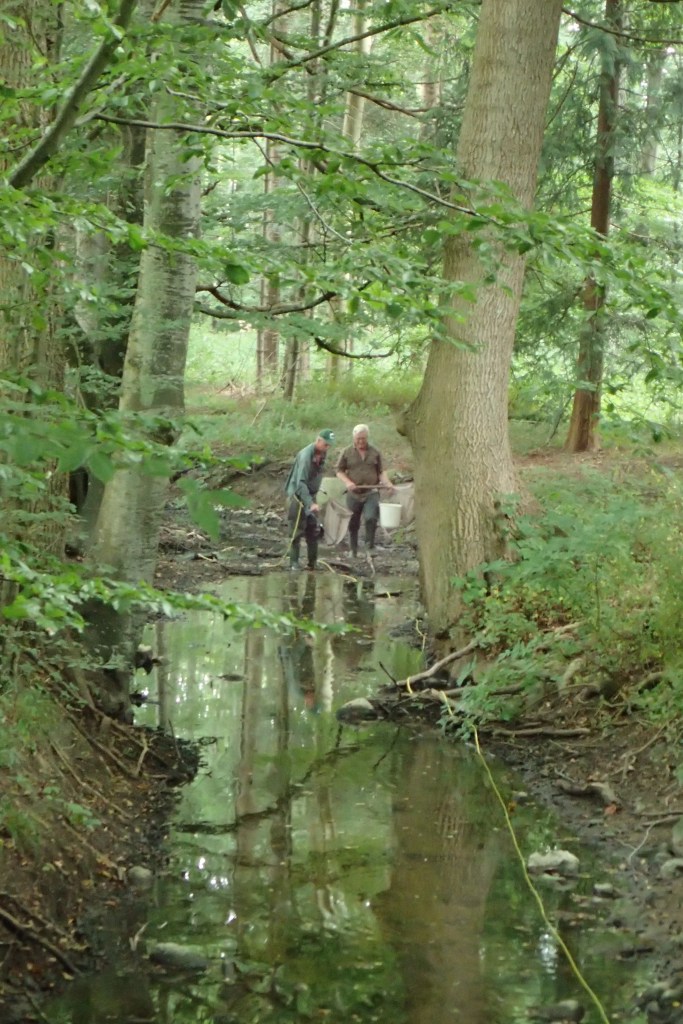 Dette billede har ingen alternativ tekst; filens navn er p8180099.jpg