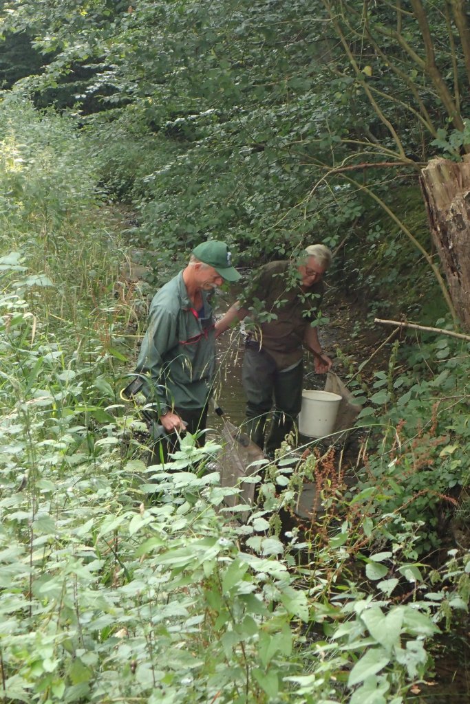 Dette billede har ingen alternativ tekst; filens navn er elfiskeri.jpg